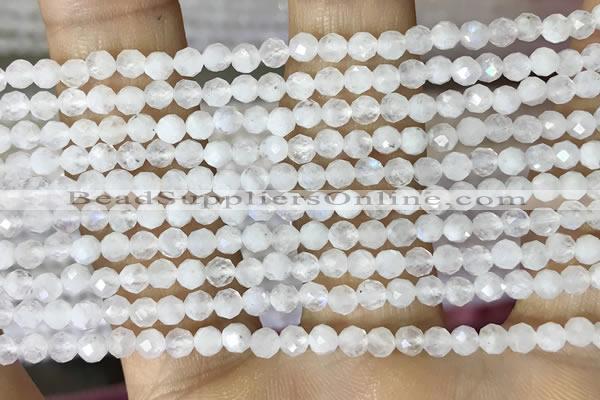 CTG1481 15.5 inches 3mm faceted round white moonstone beads