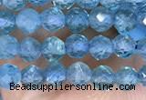 CTG1497 15.5 inches 3mm faceted round apatite beads wholesale