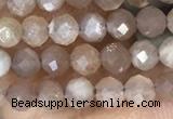 CTG1503 15.5 inches 3mm faceted round moonstone gemstone beads