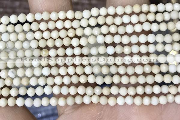 CTG1516 15.5 inches 3mm faceted round white fossil jasper beads