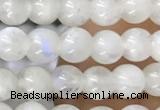 CTG1580 15.5 inches 4mm round white moonstone beads wholesale