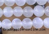 CTG1581 15.5 inches 4mm round white moonstone beads wholesale