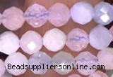 CTG1606 15.5 inches 4mm faceted round tiny morganite beads