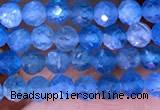 CTG1613 15.5 inches 3mm faceted round tiny apatite beads