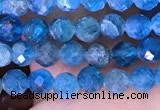 CTG1614 15.5 inches 3.5mm faceted round tiny apatite beads