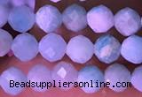 CTG1626 15.5 inches 3.5mm faceted round tiny amazonite beads