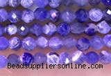 CTG1665 15.5 inches 2mm faceted round tiny sodalite beads