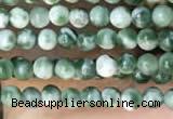 CTG2008 15 inches 2mm,3mm Qinghai jade beads