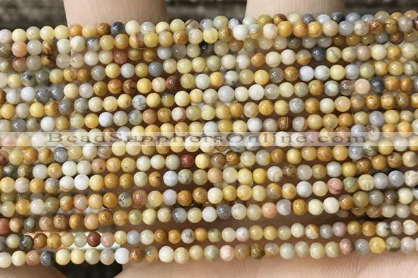 CTG2019 15 inches 2mm,3mm yellow crazy lace agate beads