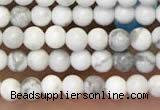 CTG2087 15 inches 2mm,3mm natural white howlite gemstone beads