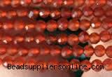 CTG2121 15 inches 2mm,3mm faceted round red agate gemstone beads