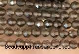 CTG2124 15 inches 2mm,3mm faceted round smoky quartz gemstone beads