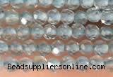 CTG2131 15 inches 2mm,3mm faceted round apatite gemstone beads