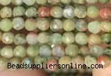 CTG2214 15 inches 2mm,3mm faceted round unakite gemstone beads