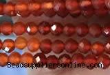 CTG2243 15 inches 2mm faceted round red agate beads