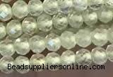 CTG2246 15 inches 2mm faceted round natural prehnite beads