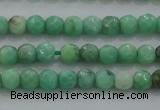 CTG225 15.5 inches 3mm faceted round tiny grass agate beads