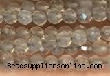 CTG2255 15 inches 2mm faceted round grey agate beads