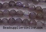 CTG509 15.5 inches 4mm faceted round tiny labradorite beads