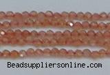 CTG609 15.5 inches 2mm faceted round golden sunstone beads