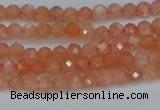 CTG610 15.5 inches 3mm faceted round golden sunstone beads