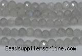 CTG613 15.5 inches 3mm faceted round labradorite beads