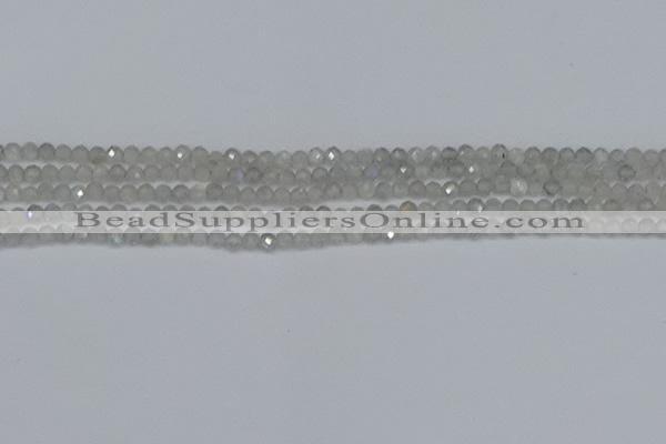 CTG613 15.5 inches 3mm faceted round labradorite beads