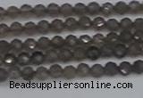 CTG639 15.5 inches 2mm faceted round smoky black obsidian beads