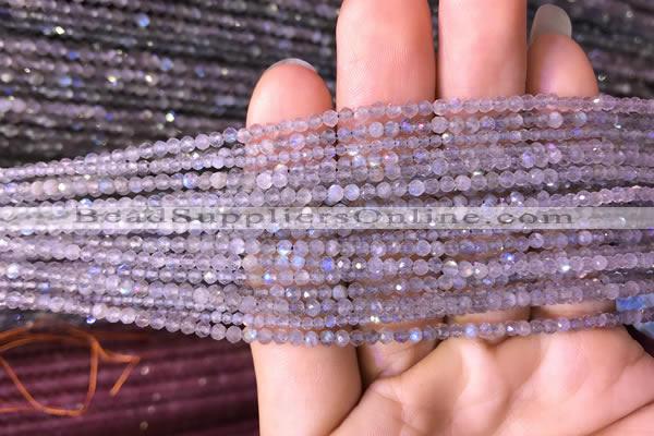 CTG700 15.5 inches 2mm faceted round tiny labradorite beads