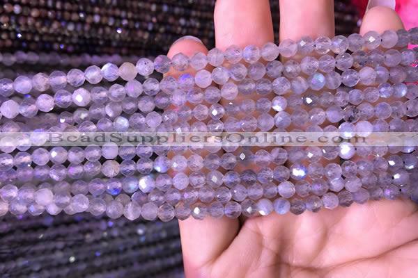 CTG703 15.5 inches 5mm faceted round tiny labradorite beads