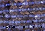 CTG753 15.5 inches 2mm faceted round tiny iolite gemstone beads