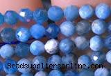 CTG760 15.5 inches 3mm faceted round tiny apatite gemstone beads