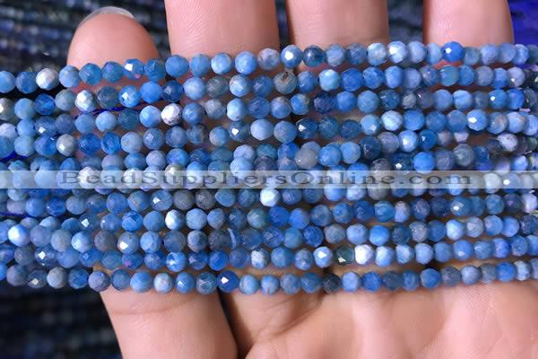 CTG761 15.5 inches 4mm faceted round tiny apatite gemstone beads