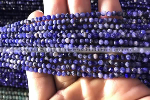 CTG779 15.5 inches 3mm faceted round tiny sodalite beads wholesale