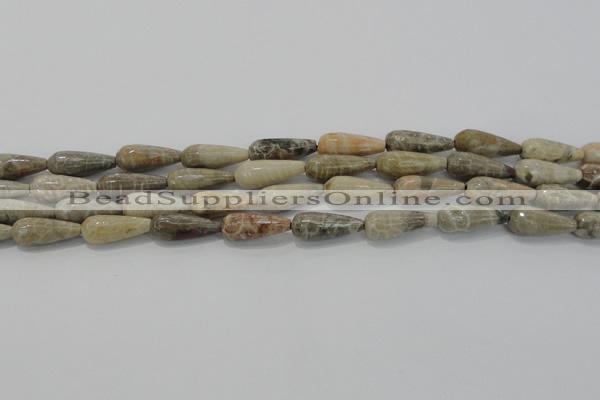 CTR108 15.5 inches 8*20mm faceted teardrop chrysanthemum agate beads