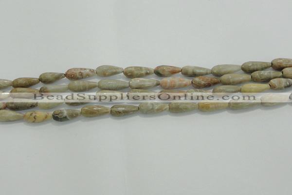 CTR81 15.5 inches 6*16mm faceted teardrop chrysanthemum agate beads