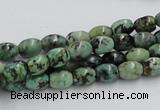 CTU407 15.5 inches 6*7mm rice African turquoise beads wholesale