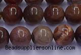 CWJ433 15.5 inches 10mm round wood jasper beads wholesale