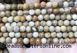 CWJ451 15.5 inches 6mm faceted round wood jasper beads wholesale