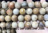 CWJ456 15.5 inches 16mm faceted round wood jasper beads wholesale