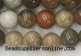 CWJ575 15.5 inches 6mm round wood jasper beads wholesale