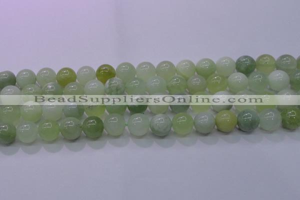 CXJ203 15.5 inches 10mm round New jade beads wholesale