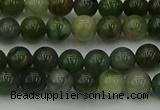 CXJ401 15.5 inches 6mm round Xinjiang jade beads wholesale