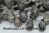 CZJ16 16 inches 8*12mm teardrop zebra jasper gemstone beads wholesale