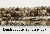 CZJ423 15.5 inches 10mm round Australian zebra jasper beads wholesale