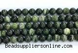 CZJ573 15.5 inches 10mm round green zebra jasper gemstone beads