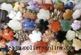 FGBS216 15 inches 20mm carved 5 petal flower colorful gemstone beads wholesale