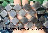 FGBS275 15 inches 18mm four leaf clover labradorite beads wholesale