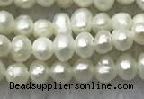 FWP05 14.5 inches 2mm - 2.5mm potato white freshwater pearl strands