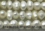 FWP07 14.5 inches 2mm - 3mm potato white freshwater pearl strands